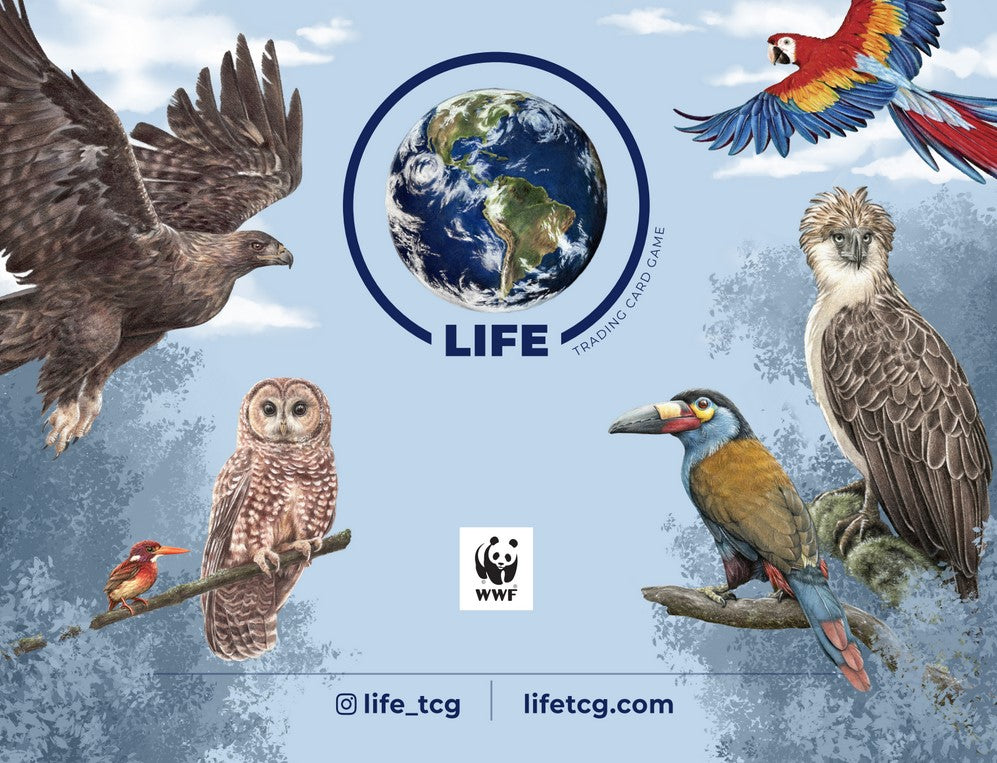 LIFE TCG 1st Edition Birds Mini Box 4 Booster Packs seales englisch