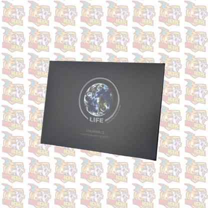 Zebra Photography Card Life TCG Sealed