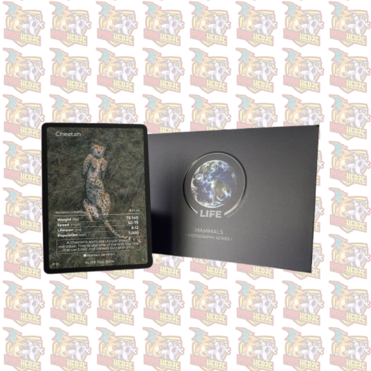 Cheetah Photography Card Life TCG Seald