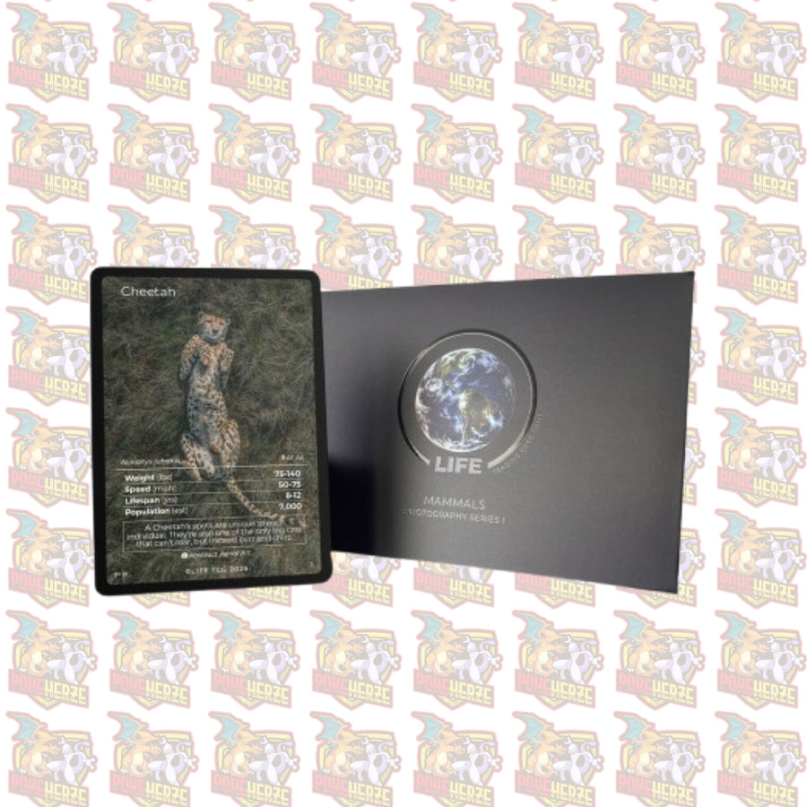 Cheetah Photography Card Life TCG Seald