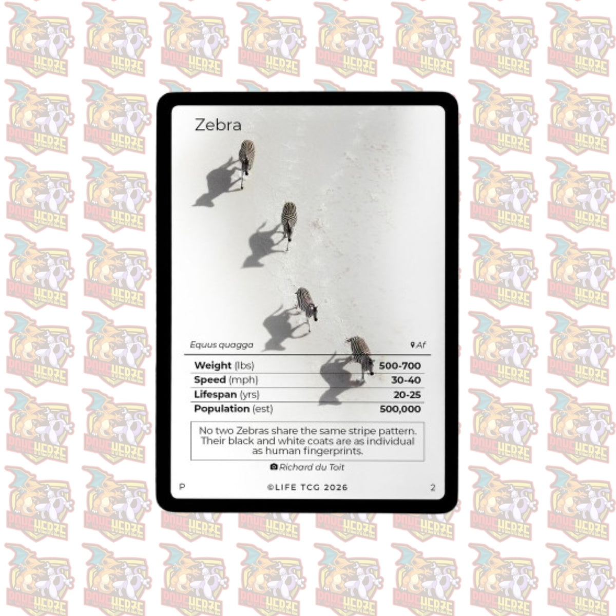 Zebra Photography Card Life TCG Sealed