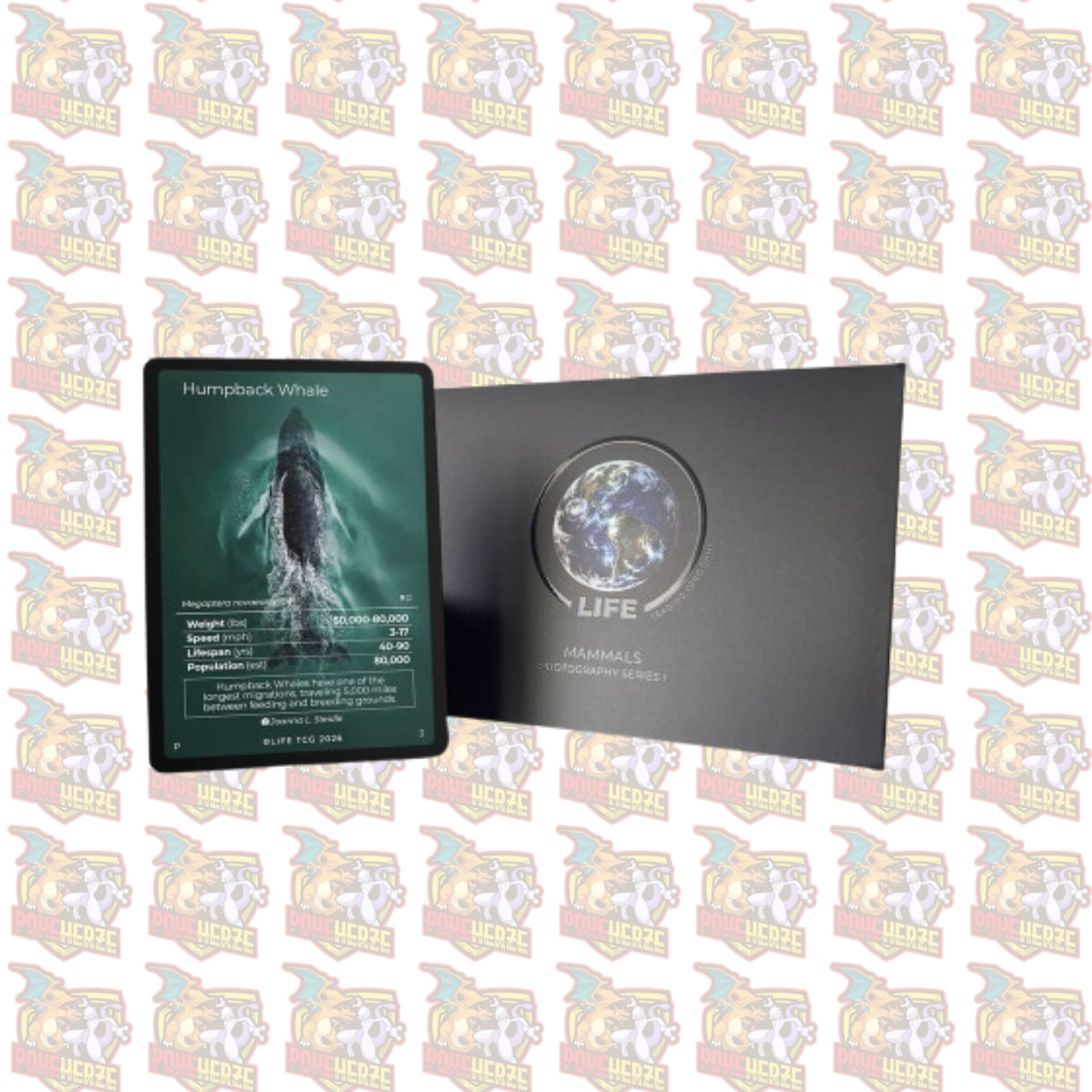 Humpback Whale Photography Card Life TCG Sealed